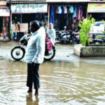 मराठवाड्यात पावसाचे 8 बळी; 181 जनावरे दगावली, 484 हेक्टर क्षेत्रावरील पिकांचे नुकसान