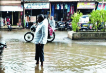 मराठवाड्यात पावसाचे 8 बळी; 181 जनावरे दगावली, 484 हेक्टर क्षेत्रावरील पिकांचे नुकसान