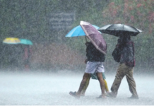 Mumbai Rain News – मुंबईला पावसाचा रेड अलर्ट; सर्व शाळा, महाविद्यालयांना सुट्टी जाहीर