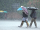 Mumbai Rain News – मुंबईला पावसाचा रेड अलर्ट; सर्व शाळा, महाविद्यालयांना सुट्टी जाहीर