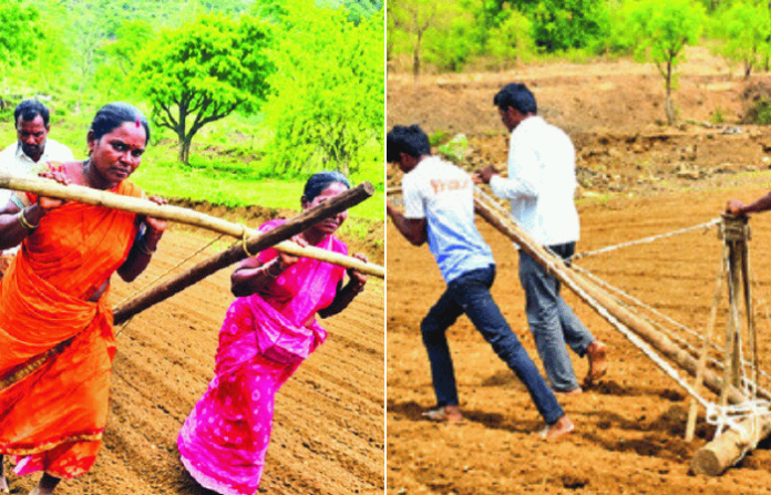 rajur farmer news