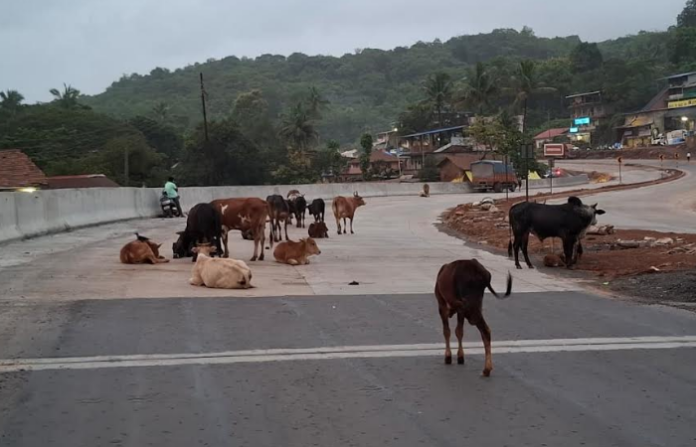 ratnagiri (3)