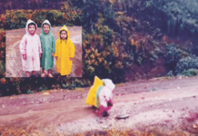 ट्रेंड – स्कूल चले हम…
