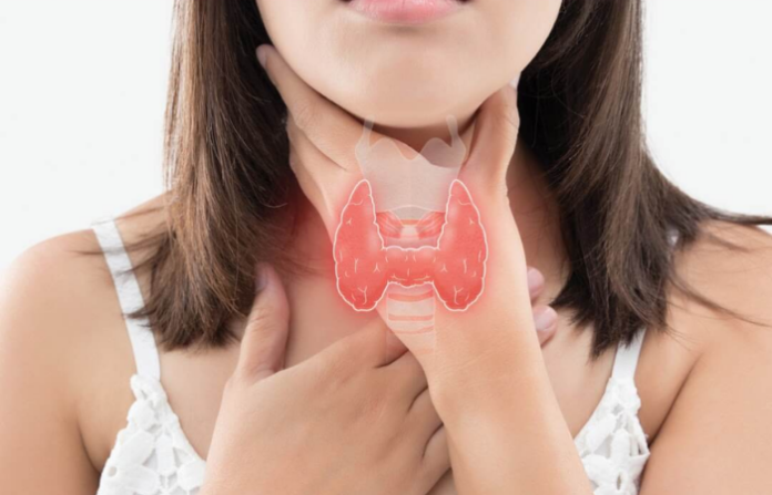 thyroid