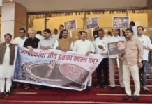 पावसाने केली महायुती सरकारची पोलखोल; वाहतूक विस्कळीत झाल्याने आमदार गैरहजर, विधिमंडळाचे कामकाज दिवसभरासाठी तहकूब