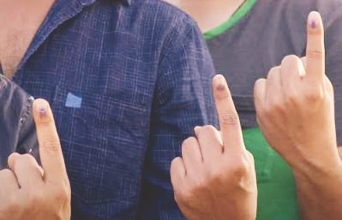 vote (1)