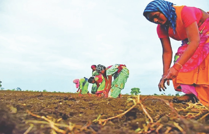 women farmer workers