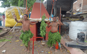धोंडी धोंडी पाणी दे…’ वरुणराजाला साकडे; पावसाअभावी शेतकऱ्यांची वाढली चिंता, ग्रामीण भागात पारंपरिक लोकपरंपरांना उजाळा