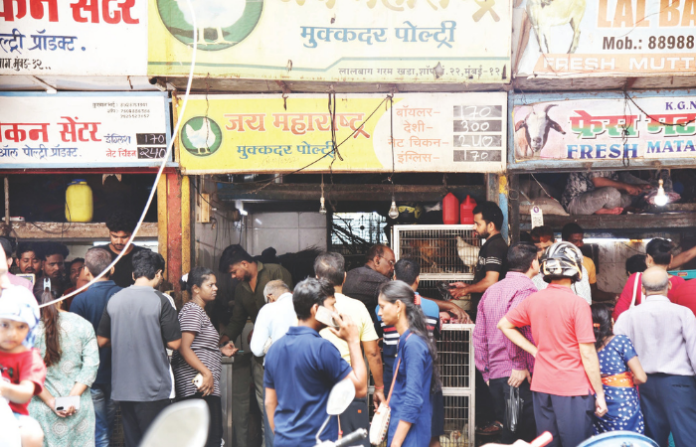 Chicken Shop