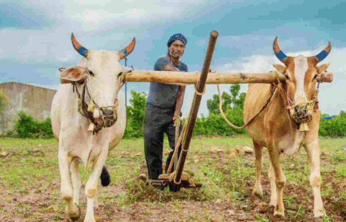 Farmers