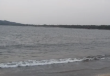 Ratnagiri News – मिरकरवाडा जेटी येथील पाण्यात बुडून प्रौढाचा मृत्यू