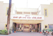 सांगली बाजार समिती विभाजन हरकतीची प्रक्रिया सुरु, सहकार विभागाकडून दहा दिवसांची मुदत