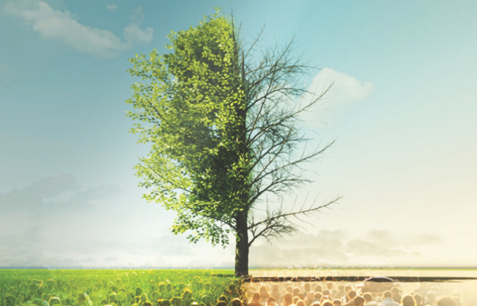 Tree (1)