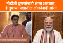 Video – भाजपच्या ट्रोल टीमने जे पेरलं तेच त्यांच्या अंगावर आलं, राज ठाकरेंची टीका