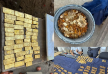 भिंत पाडताना सापडल्या सोन्याच्या विटा अन् नाणी; ९९ कोटींच्या खजिन्याचा मालक कोण?