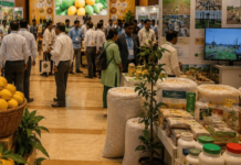 13ऑगस्टला कृषी, फलोत्पादन व सिंचन परिषद; महाराष्ट्र राज्य आंबा उत्पादक संघातर्फे आयोजन