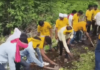 रस्त्याअभावी गर्भवतीचा मृत्यू, दोन महिने उलटूनही प्रशासन उदासीन; आदिवासी समाजानेच हाती घेतला रस्ता निर्मितीचा विडा