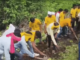 रस्त्याअभावी गर्भवतीचा मृत्यू, दोन महिने उलटूनही प्रशासन उदासीन; आदिवासी समाजानेच हाती घेतला रस्ता निर्मितीचा विडा