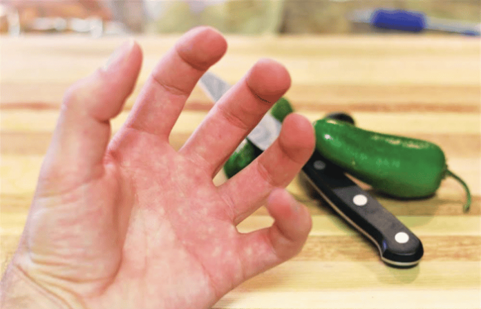 chilli cutting