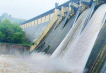 फक्त 11 धरणे ‘ओव्हरफ्लो; मराठवाडा, विदर्भात पाऊस कमीच