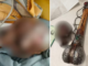 दिल्ली विमानतळावर प्रवाशाच्या हँड बॅगमध्ये आढळली मानवी कवटी; सीआयएसएफची कारवाई
