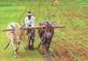 Konkan News – शेतकऱ्यांना अद्याप नुकसान भरपाई मिळेना आणि सरसकट कर्ज माफीचाही अर्थ कळेना