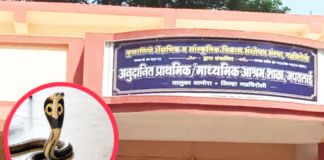 सामना अग्रलेख – गडचिरोलीतील सर्पदंश!आदिवासी बांधवांनो,मंत्र्यांच्या घरात साप सोडा!