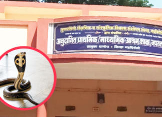सामना अग्रलेख – गडचिरोलीतील सर्पदंश!आदिवासी बांधवांनो,मंत्र्यांच्या घरात साप सोडा!