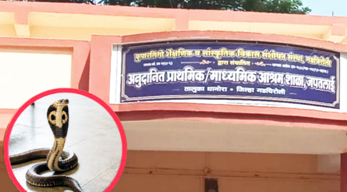 सामना अग्रलेख – गडचिरोलीतील सर्पदंश!आदिवासी बांधवांनो,मंत्र्यांच्या घरात साप सोडा!