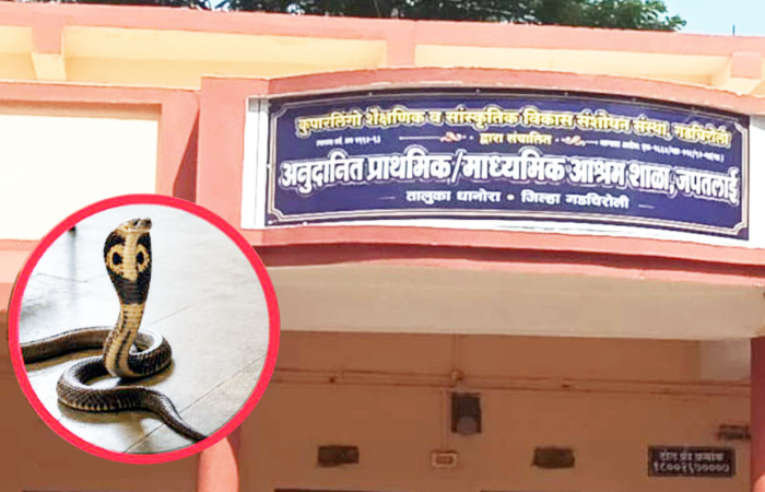 गडचिरोलीत सर्पदंशाने तीन विद्यार्थिनींचा मृत्यू