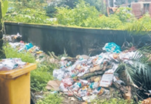 चिपळूण पंचायत समितीच्या आवारातच कचऱ्याचा ढीग; स्वच्छतेच्या कारभारावर प्रश्नचिन्ह