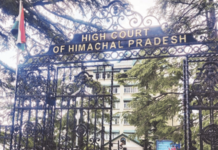घर सुनेचे असले तरी सासूला राहण्याचा अधिकार, हिमाचल प्रदेश उच्च न्यायालयाचा ऐतिहासिक निर्णय