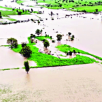 मराठवाड्यात मुसळधार, 233 मंडळांत अतिवृष्टी; हिंगोलीत कयाधूच्या पुराचे पाणी शेतात घुसले, नांदेड, जालन्यात जनजीवन विस्कळीत