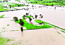 मराठवाड्यात मुसळधार, 233 मंडळांत अतिवृष्टी; हिंगोलीत कयाधूच्या पुराचे पाणी शेतात घुसले, नांदेड, जालन्यात जनजीवन विस्कळीत