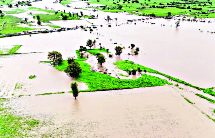 hingoli rain