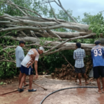 जव्हारच्या पिपुर्णा जिल्हा परिषद शाळेतील गोरगरीब विद्यार्थ्यांची चूल ‘विझली’, स्वयंपाकघरावर झाड कोसळून 15 दिवस उलटले तरी प्रशासन ढिम्म