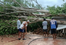 जव्हारच्या पिपुर्णा जिल्हा परिषद शाळेतील गोरगरीब विद्यार्थ्यांची चूल ‘विझली’, स्वयंपाकघरावर झाड कोसळून 15 दिवस उलटले तरी प्रशासन ढिम्म