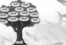 बोलीभाषेची समृद्धी – तंजावर मराठी बोली