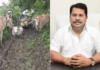 सरकारकडे मोठ्या प्रकल्पांसाठी कोट्यवधी, पण शेतकऱ्यांच्या मूलभूत सुविधांसाठी निधी नाही? वडेट्टीवार यांचा संतप्त सवाल
