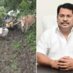 सरकारकडे मोठ्या प्रकल्पांसाठी कोट्यवधी, पण शेतकऱ्यांच्या मूलभूत सुविधांसाठी निधी नाही? वडेट्टीवार यांचा संतप्त सवाल