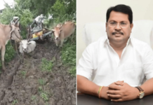 सरकारकडे मोठ्या प्रकल्पांसाठी कोट्यवधी, पण शेतकऱ्यांच्या मूलभूत सुविधांसाठी निधी नाही? वडेट्टीवार यांचा संतप्त सवाल