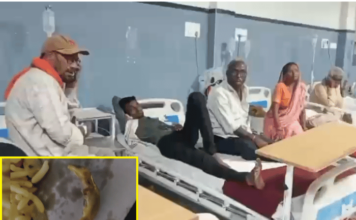 Chandrapur News – वरोरा शहरात चिवड्यात पाल आढळल्याने ७ जणांची प्रकृती बिघडली