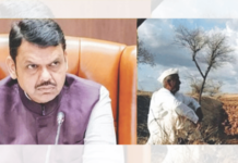 दात कोरून दानधर्म, दुष्काळ निवारणाचा ‘फडणवीस’ मार्ग!