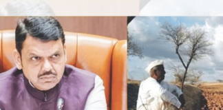 दात कोरून दानधर्म, दुष्काळ निवारणाचा ‘फडणवीस’ मार्ग!
