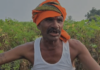 Yavatmal News – पावसाअभावी पीक करपलं, कर्ज फेडायचं कसं? शेतकऱ्याचा टाहो; दुष्काळ जाहीर करून सरसकट मदतीची मागणी