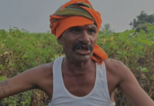 Yavatmal News – पावसाअभावी पीक करपलं, कर्ज फेडायचं कसं? शेतकऱ्याचा टाहो; दुष्काळ जाहीर करून सरसकट मदतीची मागणी