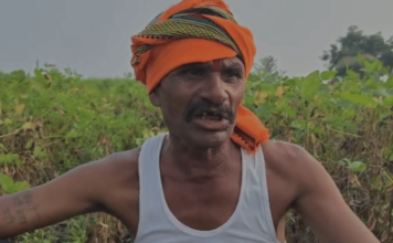 Yavatmal News – पावसाअभावी पीक करपलं, कर्ज फेडायचं कसं? शेतकऱ्याचा टाहो; दुष्काळ जाहीर करून सरसकट मदतीची मागणी