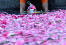 Photo – पुढच्या वर्षी लवकर या…, मुंबईत दीड दिवसांच्या गणपती बाप्पांचे विसर्जन