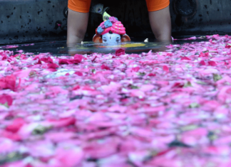 Photo – पुढच्या वर्षी लवकर या…, मुंबईत दीड दिवसांच्या गणपती बाप्पांचे विसर्जन