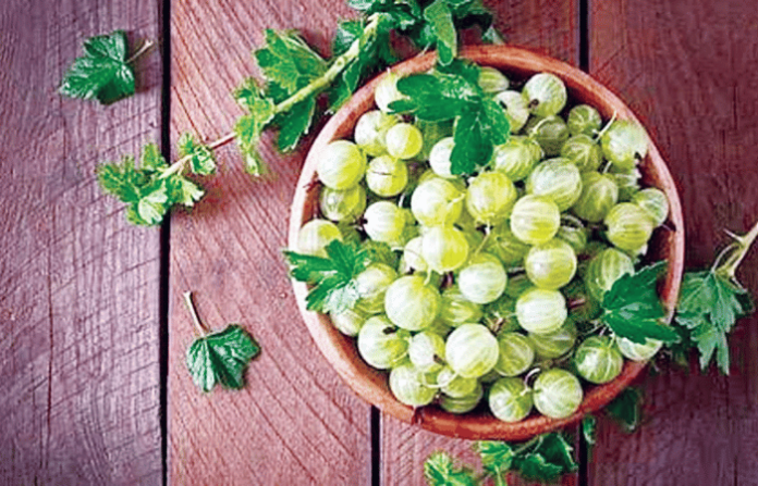 Indian gooseberry